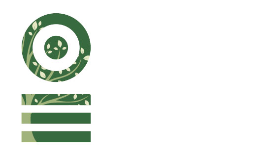wellessences logo design